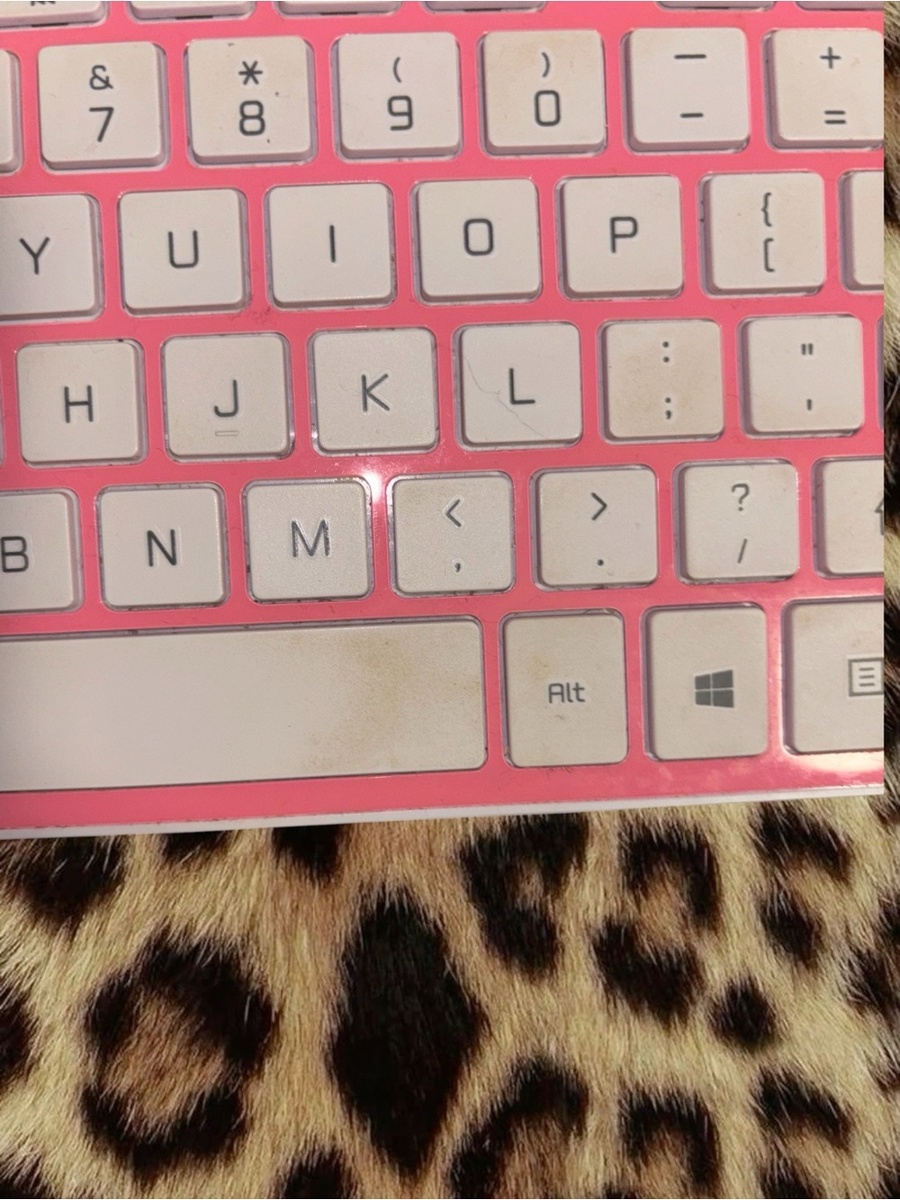 Pink Work/School Bundle (4 Items) - Picture 5 of 5